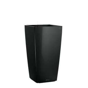 Cubico Body Sort Blank