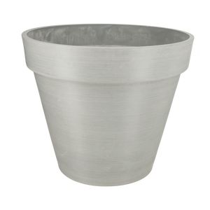 Bonin Grå
