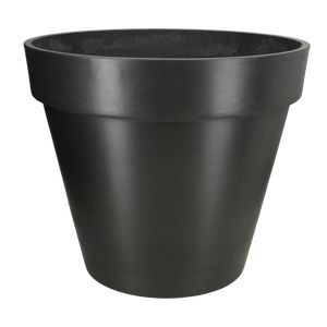 Bonin Sort Mat