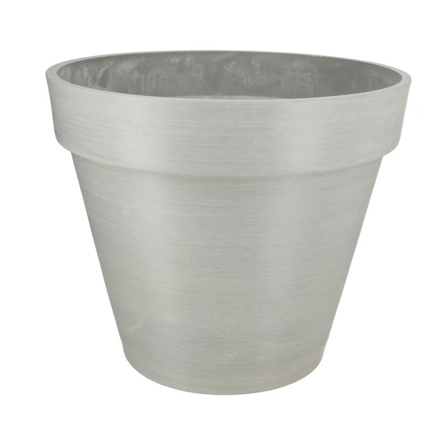 Bonin Grå