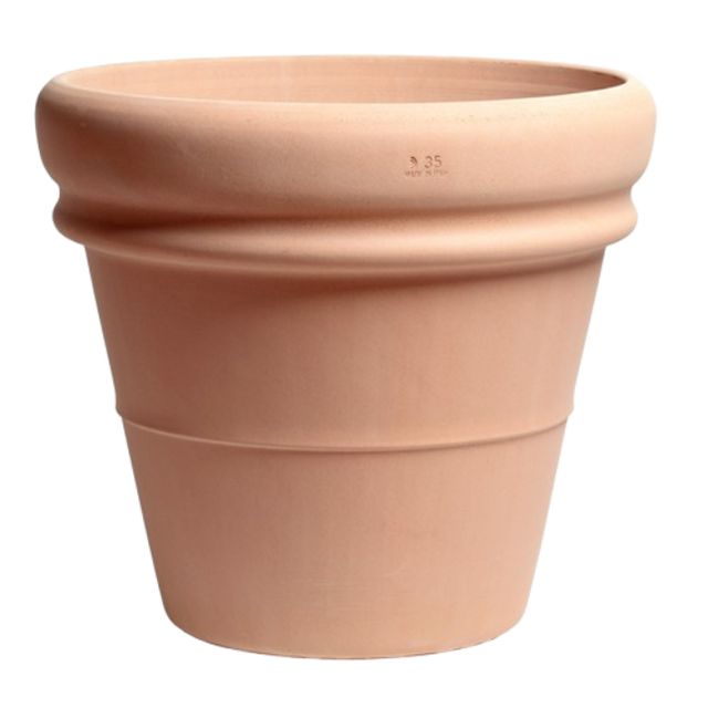 Terracotta Arena Terracotta