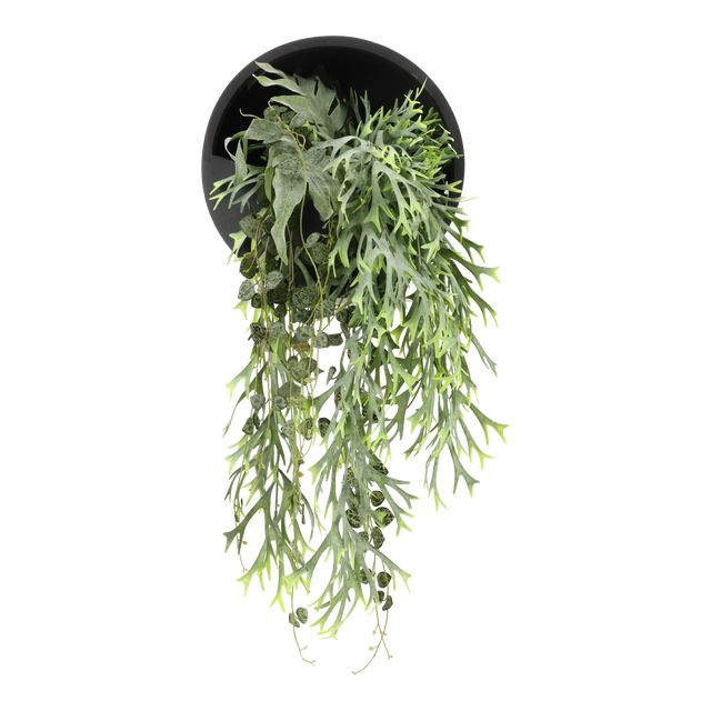 Wallhanger Sort Ø30 m/naturtro planter